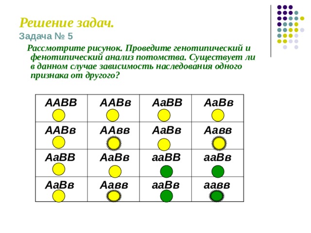 Схема aabb x aabb иллюстрирует скрещивание