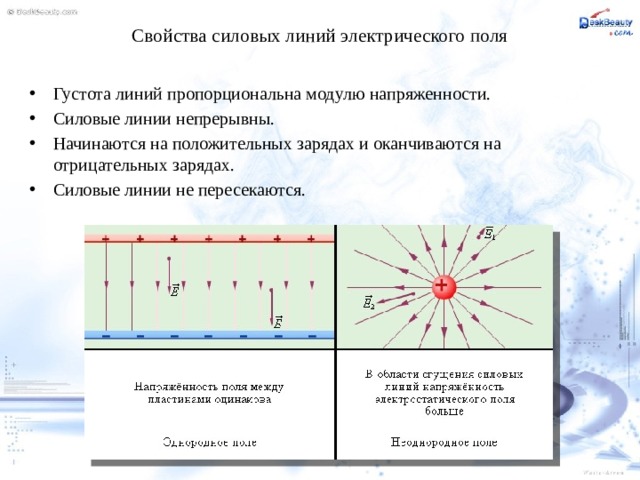 Линии напряженности начинаются на положительном заряде