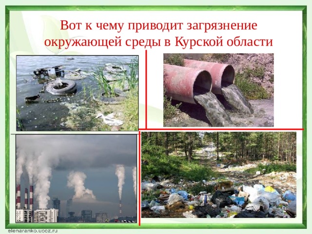 Вот к чему приводит загрязнение окружающей среды в Курской области 