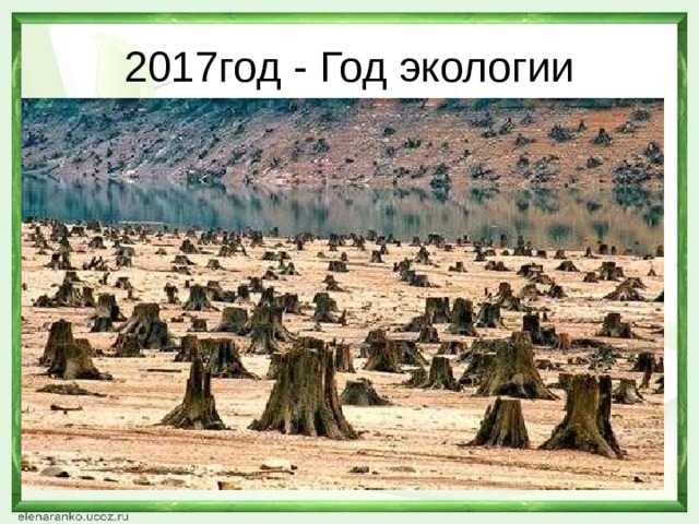 2017год - Год экологии 