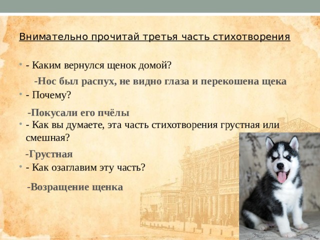 Внимательно прочитай третья часть стихотворения - Каким вернулся щенок домой? - Почему? - Как вы думаете, эта часть стихотворения грустная или смешная? - Как озаглавим эту часть? -Нос был распух, не видно глаза и перекошена щека -Покусали его пчёлы -Грустная -Возращение щенка 