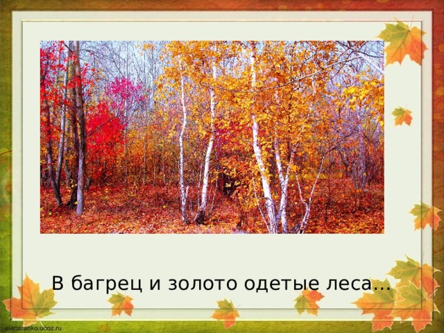 И в золото одетые леса. Багрец и золото. В багрянец и золото одетые леса Пушкин. В багрянец и золото одетые.