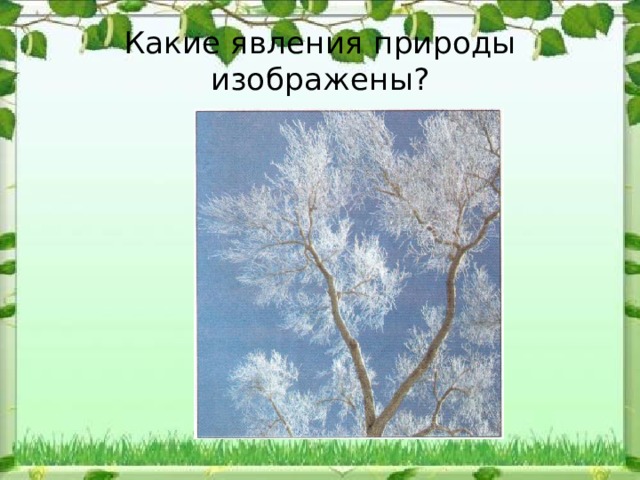 Какие явления изображены. Какие явления природы изображены на рисунке. Какое грозное явление природы изображено на рисунке. Какое явление природы не изображено на рисунках. Подпиши фотографии какие явления природы изображены на них 3 класс.