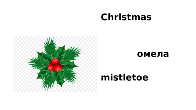  Christmas  омела  mistletoe 