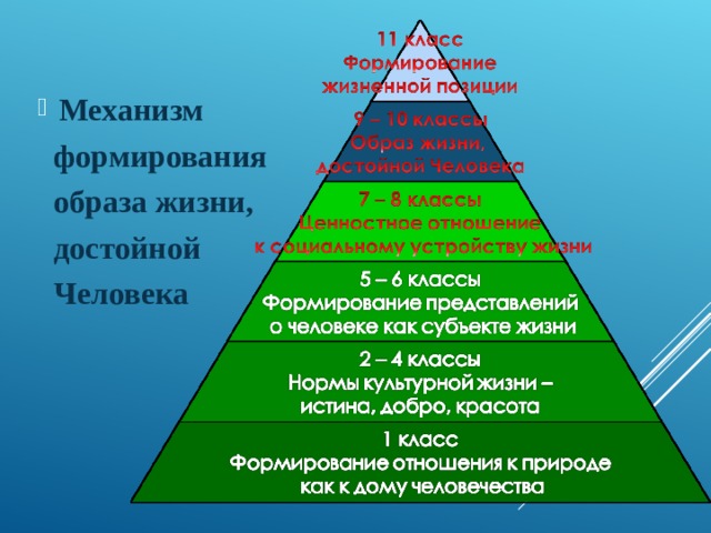 Сформированный образ. Формирование образа жизни достойной человека. Концепция формирования образа жизни достойной человека н.е Щуркова. Концепция формирования образа жизни, достойной человека. Механизмы формирования образа.