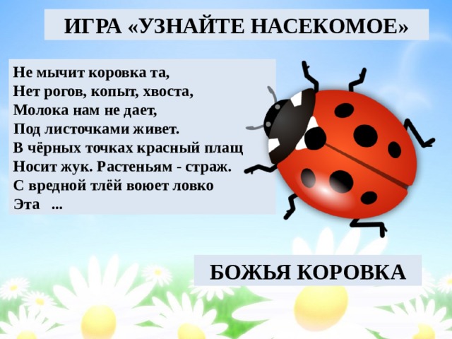 ИГРА «УЗНАЙТЕ НАСЕКОМОЕ» Не мычит коровка та,   Нет рогов, копыт, хвоста,  Молока нам не дает,  Под листочками живет.  В чёрных точках красный плащ  Носит жук. Растеньям - страж.  С вредной тлёй воюет ловко   Эта ...  БОЖЬЯ КОРОВКА 