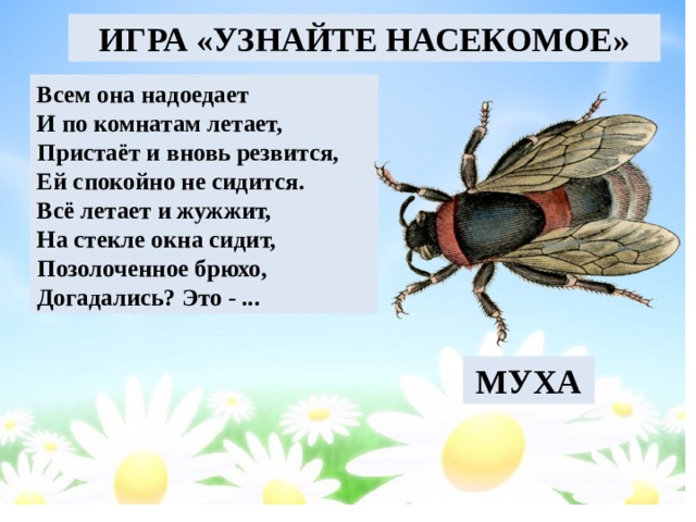 Конспект урока с презентацией 1 класс кто такие насекомые 1 класс