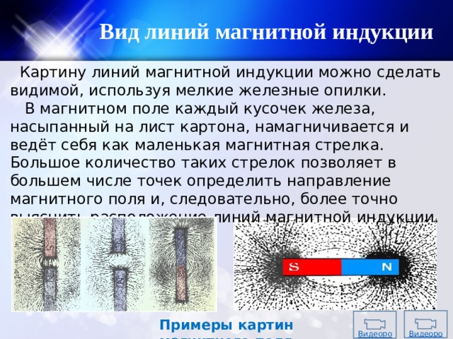 На рисунке вид сверху показана картина линий магнитного поля полученная с помощью железных опилок