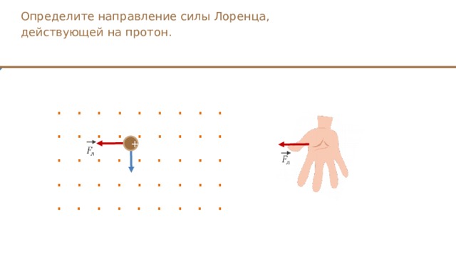 Определите направление силы действующей на протон движущийся в магнитном поле на рисунке