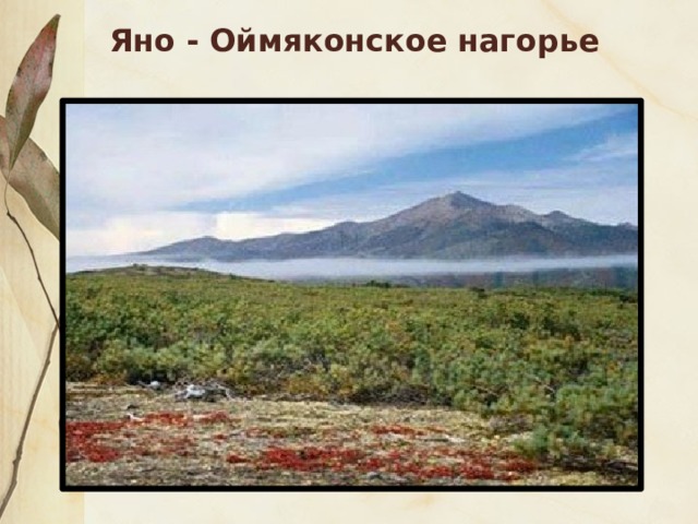 Оймяконское нагорье. Яно-Оймяконское Нагорье. Яно-Оймяконское Нагорье на карте. Яно-Оймяконское на карте. Полезные ископаемые Оймяконского нагорья.