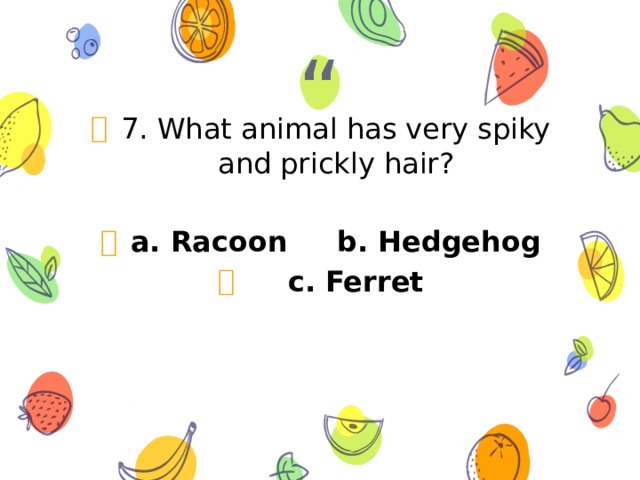 7. What animal has very spiky and prickly hair?  a. Racoon b. Hedgehog  c. Ferret  