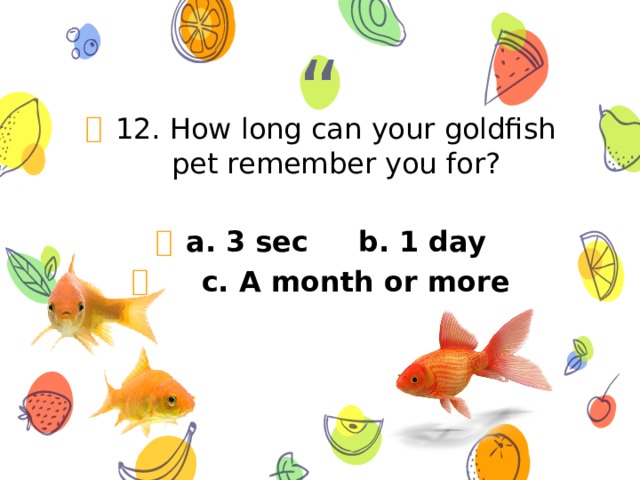 12. How long can your goldfish pet remember you for?  a. 3 sec b. 1 day  c. A month or more 
