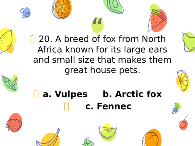 20. A breed of fox from North Africa known for its large ears and small size that makes them great house pets. a. Vulpes b. Arctic fox  c. Fennec 