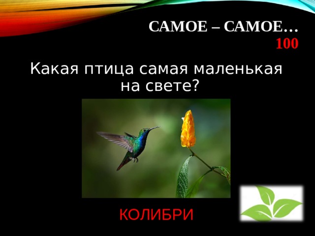 САМОЕ – САМОЕ…  100 Какая птица самая маленькая на свете? КОЛИБРИ 
