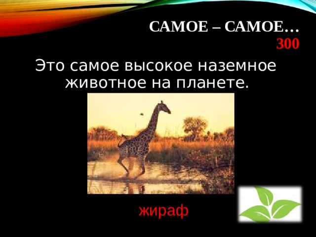САМОЕ – САМОЕ…  300   Это самое высокое наземное животное на планете. жираф 