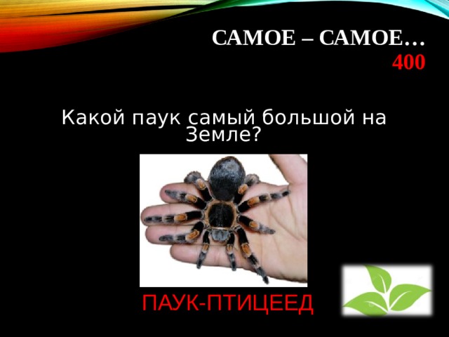 САМОЕ – САМОЕ…  400  Какой паук самый большой на Земле?   ПАУК-ПТИЦЕЕД 