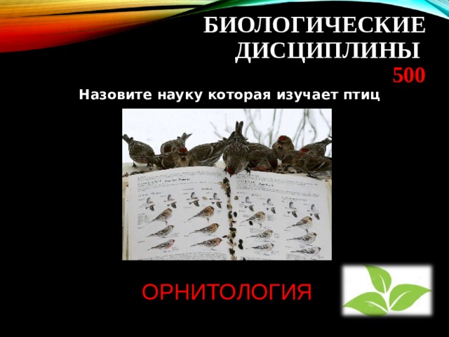  БИОЛОГИЧЕСКИЕ ДИСЦИПЛИНЫ  500   Назовите науку которая изучает птиц ОРНИТОЛОГИЯ 