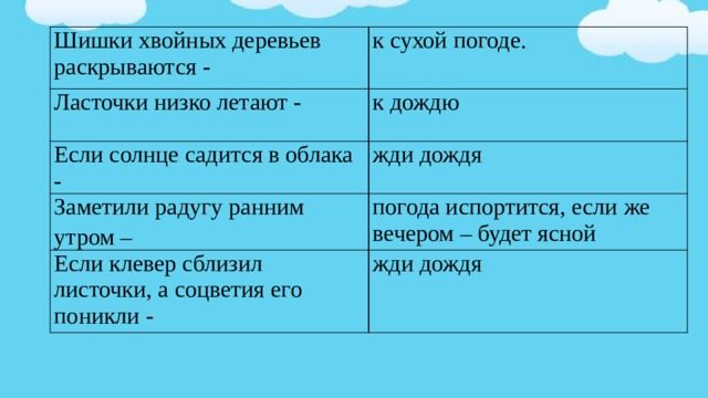 Шишки хвойных деревьев раскрываются примета окружающий мир