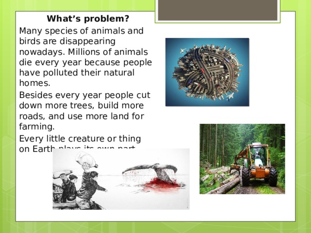 What’s problem? Many species of animals and birds are disappearing nowadays. Millions of animals die every year because people have polluted their natural homes. Besides every year people cut down more trees, build more roads, and use more land for farming. Every little creature or thing on Earth plays its own part. 