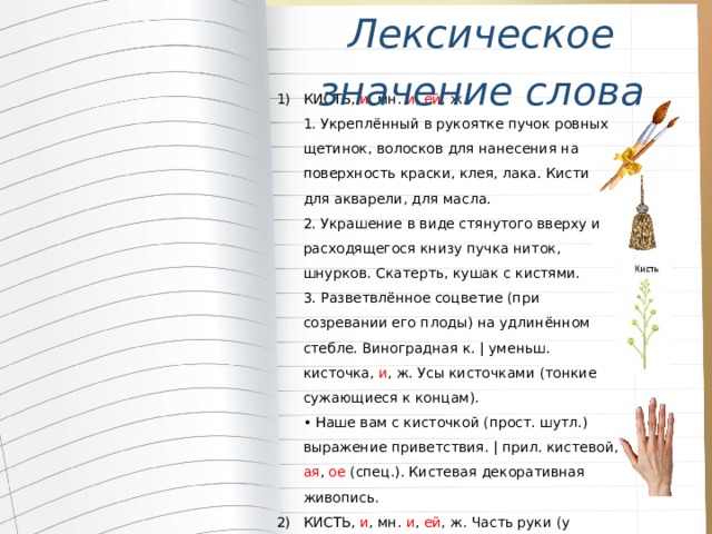 Лексическое значение слова КИСТЬ, и , мн. и , ей , ж.  1. Укреплённый в рукоятке пучок ровных щетинок, волосков для нанесения на поверхность краски, клея, лака. Кисти для акварели, для масла.  2. Украшение в виде стянутого вверху и расходящегося книзу пучка ниток, шнурков. Скатерть, кушак с кистями.  3. Разветвлённое соцветие (при созревании его плоды) на удлинённом стебле. Виноградная к. | уменьш. кисточка, и , ж. Усы кисточками (тонкие сужающиеся к концам).  • Наше вам с кисточкой (прост. шутл.) выражение приветствия. | прил. кистевой, ая , ое (спец.). Кистевая декоративная живопись. КИСТЬ, и , мн. и , ей , ж. Часть руки (у животных передней конечности) от запястья до конца пальцев. Узкая в кисти рука. | прил. кистевой, ая , ое (спец.). Кистевое ранение (в кисть). 