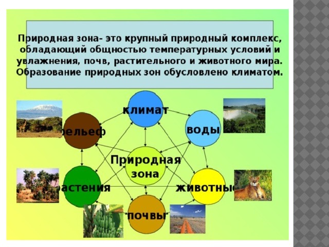 Природные компоненты россии география 8 класс. Природные зоны определение. Схема природного комплекса. Схема природных зон. Взаимосвязь компонентов природы.