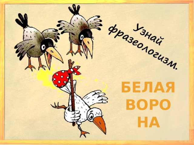 Белая ворона 