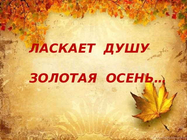 ЛАСКАЕТ ДУШУ  ЗОЛОТАЯ ОСЕНЬ… 