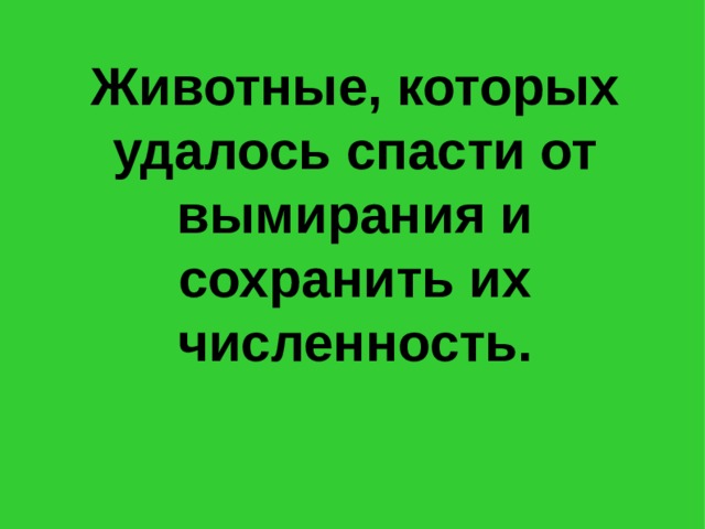 Животные, которых удалось спасти от вымирания и сохранить их численность. 