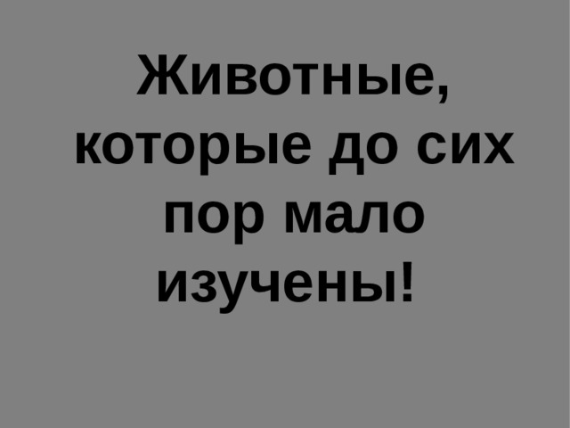 Животные, которые до сих пор мало изучены! 