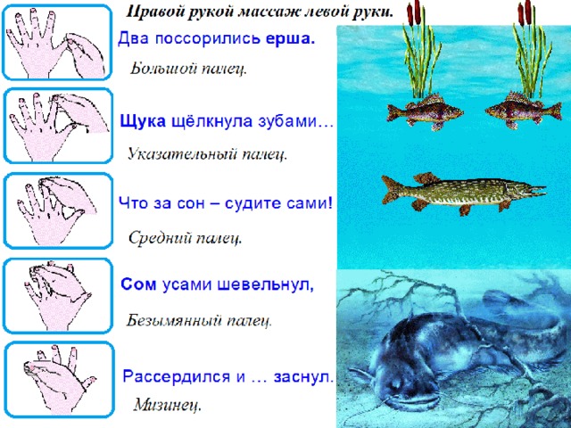 План на неделю средняя группа обитатели водоемов