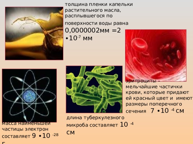 толщина пленки капельки растительного масла, расплывшегося по поверхности воды равна 0,0000002мм =2 ∙10 -7 мм эритроциты – мельчайшие частички крови, которые придают ей красный цвет и имеют размеры поперечного сечения 7 ∙10 -4 см длина туберкулезного микроба составляет 10 -4 см  масса наименьшей частицы электрон составляет 9 ∙10 -28 г  