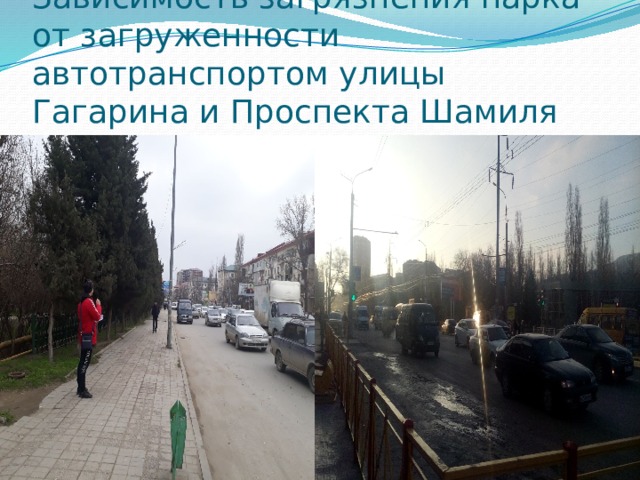 Зависимость загрязнения парка от загруженности автотранспортом улицы Гагарина и Проспекта Шамиля 