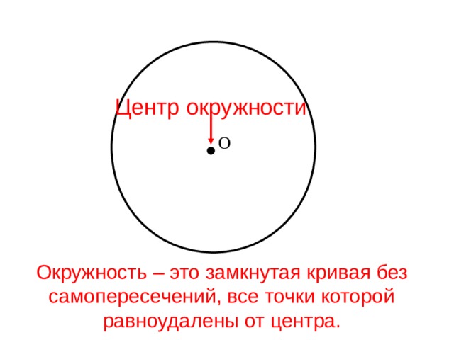 Окружность 5 класс математика презентация