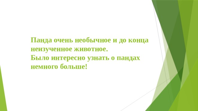 Панда очень необычное и до конца неизученное животное.  Было интересно узнать о пандах немного больше!   