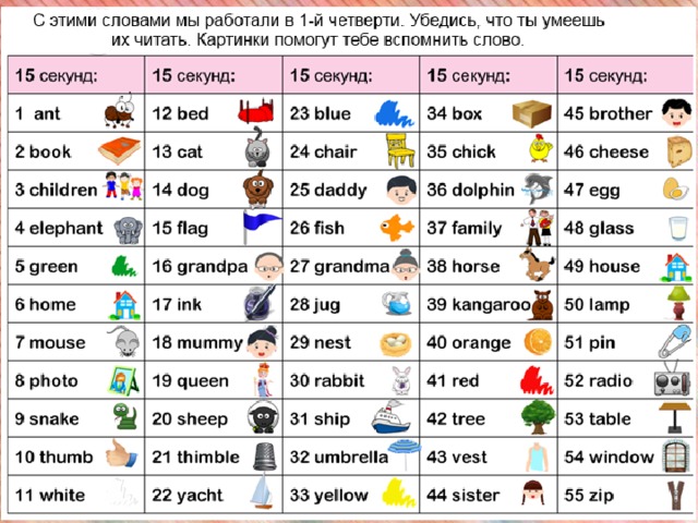 Ant транскрипция и перевод