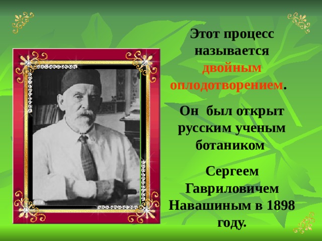 Этот процесс называется двойным оплодотворением . Он был открыт русским ученым ботаником Сергеем Гавриловичем Навашиным в 1898 году.