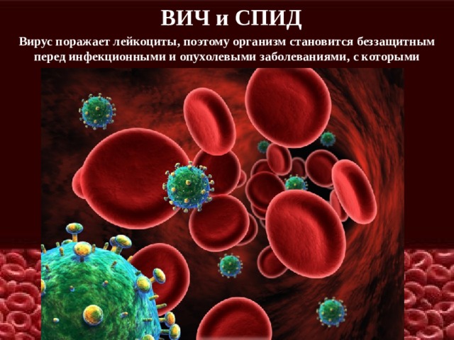 ВИЧ и СПИД Вирус поражает лейкоциты, поэтому организм становится беззащитным перед инфекционными и опухолевыми заболеваниями, с которыми справляется нормальная иммунная система 