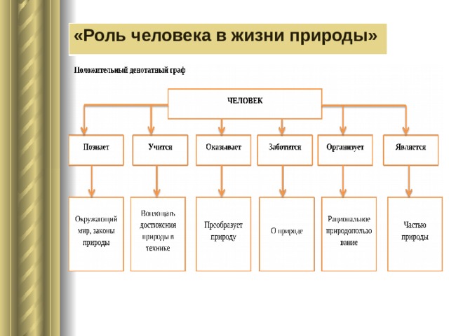 Денотатный граф презентация