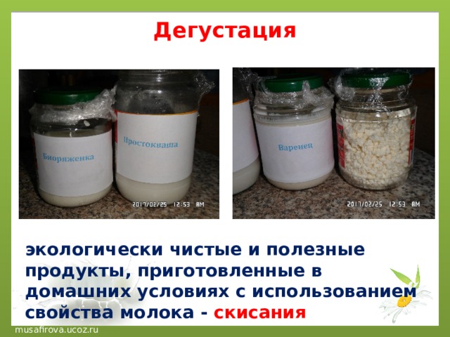 Дегустация   экологически чистые и полезные продукты, приготовленные в домашних условиях с использованием свойства молока - скисания 