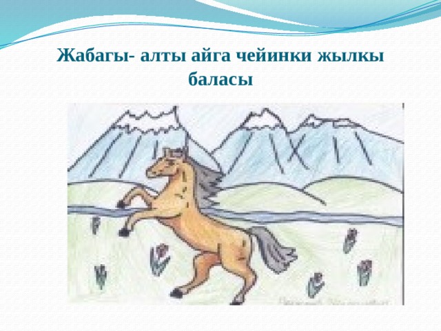 Жабагы- алты айга чейинки жылкы баласы 