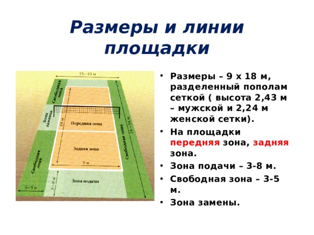 Размеры и линии площадки Размеры – 9 х 18 м, разделенный пополам сеткой ( высота 2,43 м – мужской и 2,24 м женской сетки). На площадки передняя зона, задняя зона. Зона подачи – 3-8 м. Свободная зона – 3-5 м. Зона замены. 