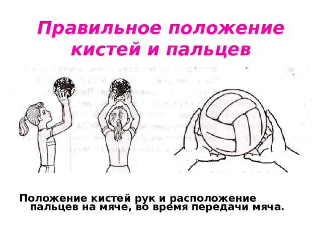 Правильное положение кистей и пальцев Положение кистей рук и расположение пальцев на мяче, во время передачи мяча. 