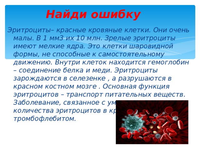 Найди ошибку Эритроциты– красные кровяные клетки. Они очень малы. В 1 мм3 их 10 млн. Зрелые эритроциты имеют мелкие ядра. Это клетки шаровидной формы, не способные к самостоятельному движению. Внутри клеток находится гемоглобин – соединение белка и меди. Эритроциты зарождаются в селезенке , а разрушаются в красном костном мозге . Основная функция эритроцитов – транспорт питательных веществ. Заболевание, связанное с уменьшением количества эритроцитов в крови, называется тромбофлебитом. 