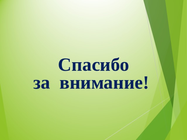    Спасибо за  внимание !  