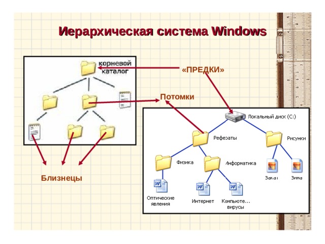 Иерархическая система Windows «ПРЕДКИ» Потомки Близнецы 