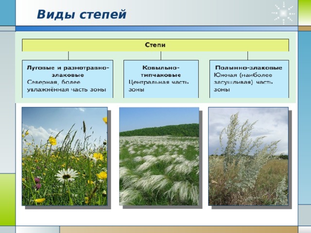 Степь почвы растения животные. Виды степей. Типы степей России. Общий вид растительности в степи. Общий вид степей в России.