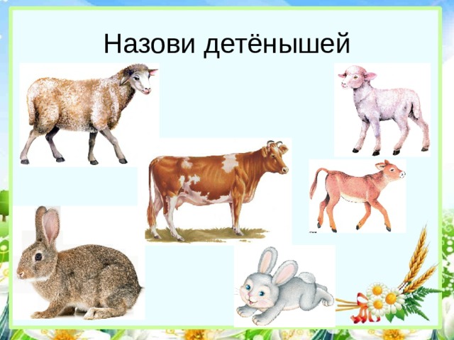 Назови детёнышей 