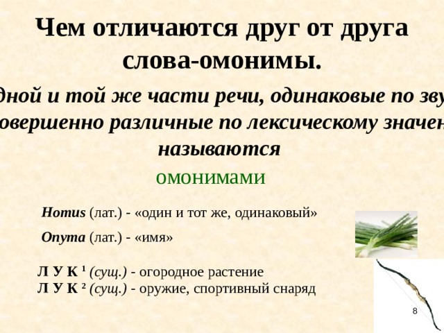 Одинаковые по звучанию. Чем отличаются друг от друга слова омонимы. Слова одинаковые по звучанию и написанию но разные части речи. Слова разной части речи но одинаковые по написанию. Слова одинаковые по звучанию но различные по лексическому значению.