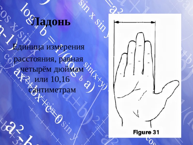 Ладонь Единица измерения расстояния, равная четырём дюймам или 10,16 сантиметрам 
