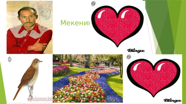 Мекенин